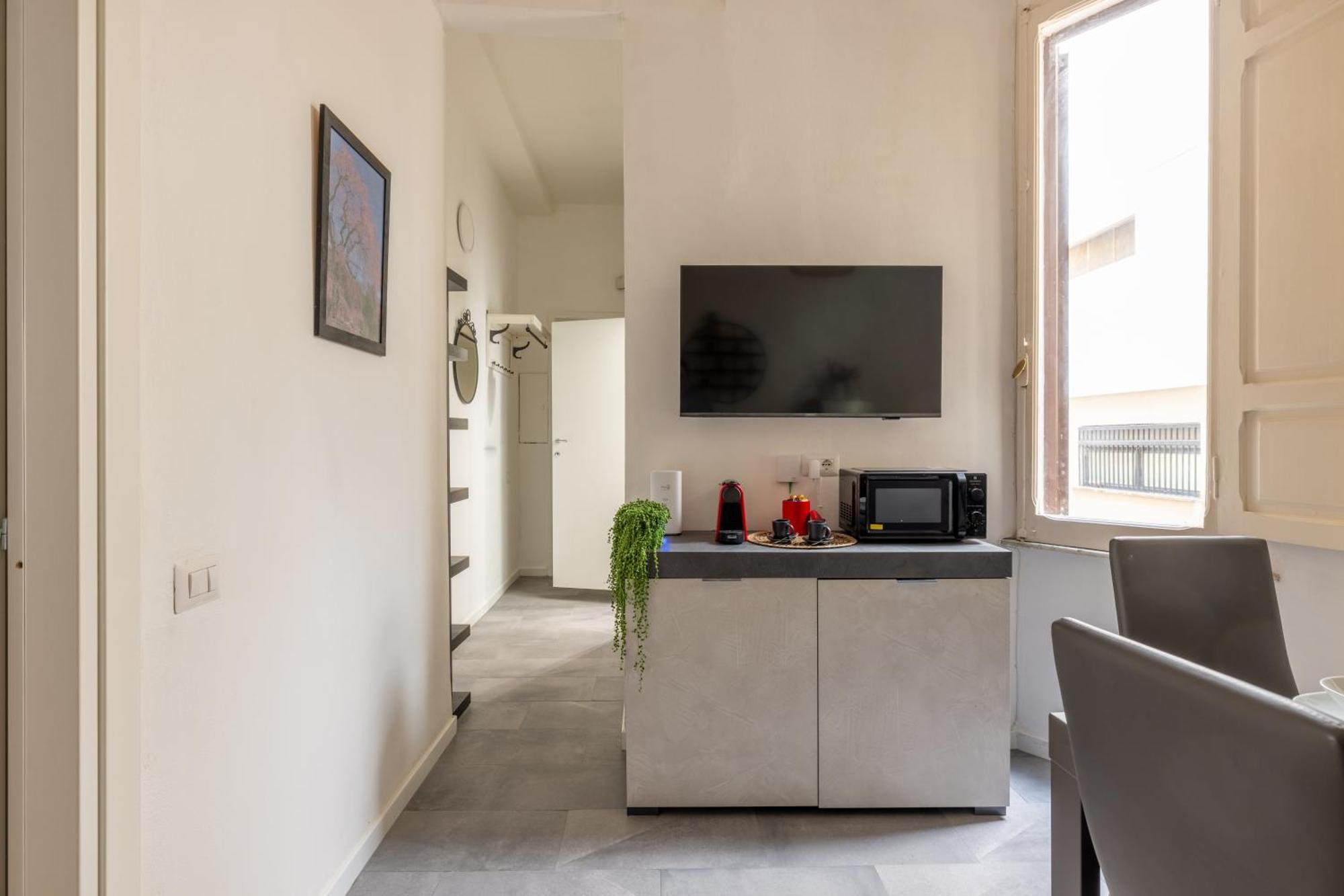 Argilla Place Large Close To Saint Peter Basilica Apartment *